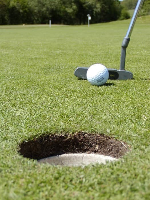 Main image of Estepona Golf