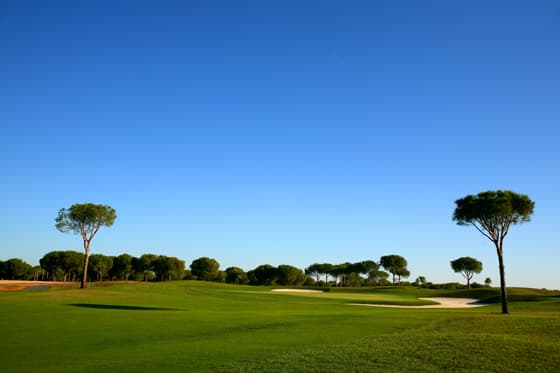 Cover of album 1 from La Monacilla Golf Club