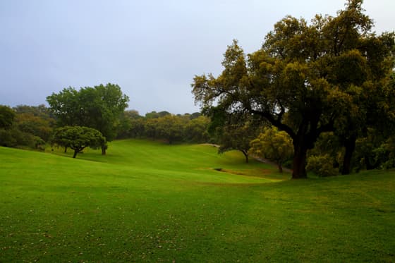 Main image of Real Club de Campo de Cordoba