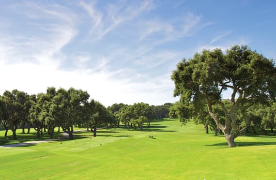 Main image of Real Club Valderrama