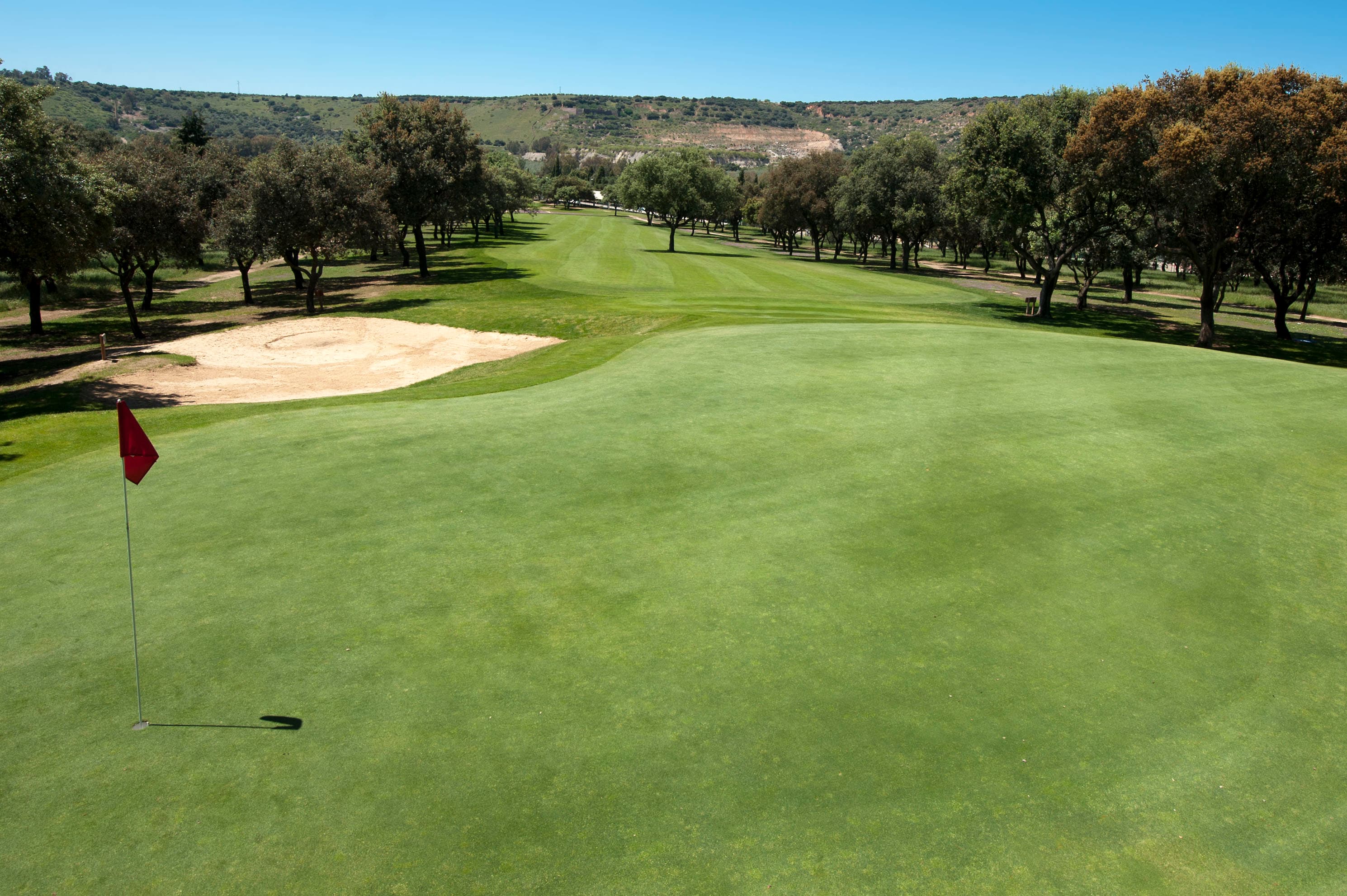 Main image of Parque Deportivo La Garza