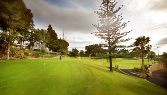 Cover of album 1 from Aloha Golf