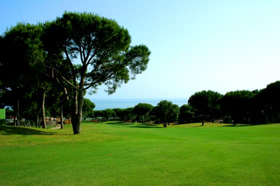 Main image of Cabopino Golf Marbella
