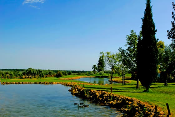 Main image of Club de Campo Las Minas Golf