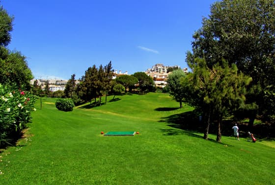 Cover of album 1 from Club de Golf La Siesta