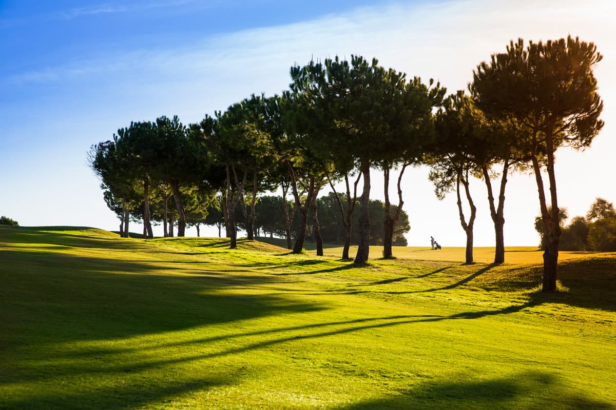 Cover of album 1 from Club Deportivo Añoreta Golf
