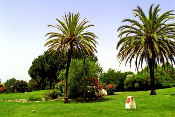 Main image of Club de Golf El Coto