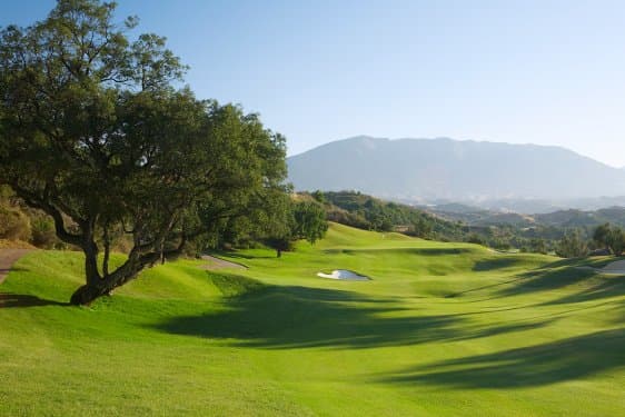 Main image of La Cala Resort