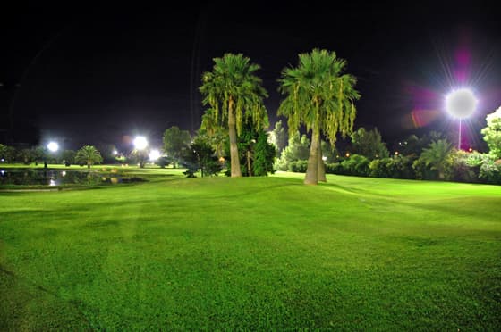 Main image of Banus Executive Golf