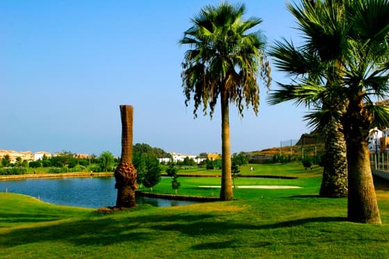 Cover of album 1 from La Noria Golf And Resort