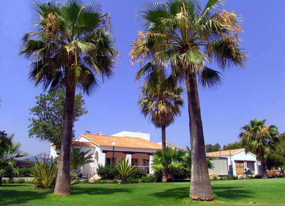 Main image of Real Club de Campo de Malaga
