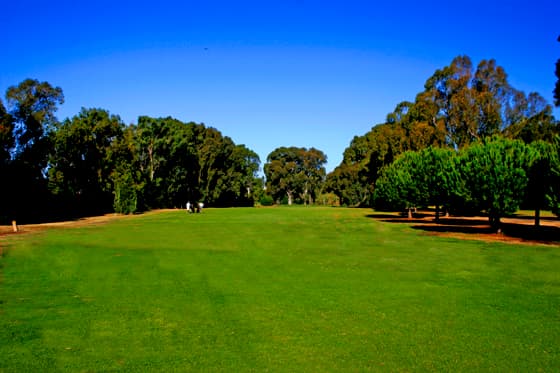 Cover of album 1 from Rota Club de Golf