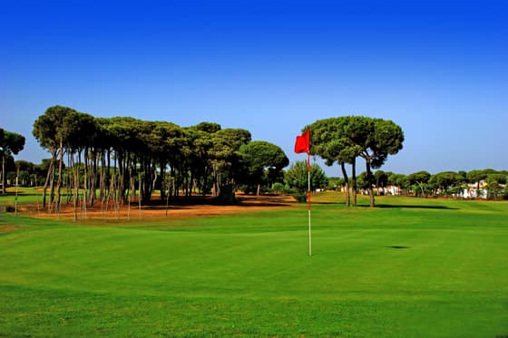 Main image of Golf Nuevo Portil