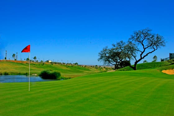 Main image of Club Hato Verde